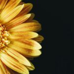 20 Aprilie – Frica de a te rătăci