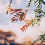 22 Iulie – Predică-ți singur